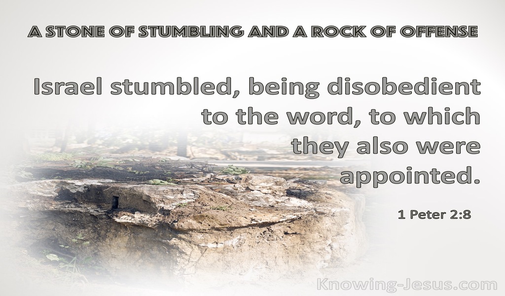 1 Peter 2:8 They Stumble, Being Disobedient To The Word (gray)